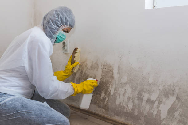 Water Damage Restoration in Ladonia, AL