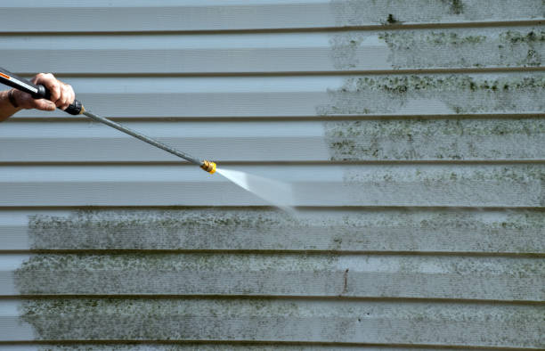 Best Certified Mold Removal  in Ladonia, AL