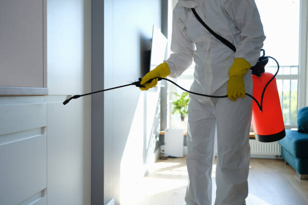 Best Professional Mold Removal  in Ladonia, AL