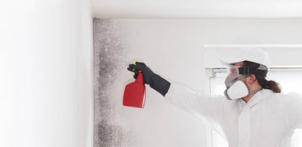 Best Mold Testing  in Ladonia, AL